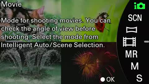 Monica online show from September 24, 8:39 am