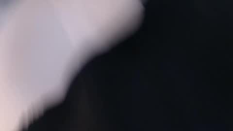 laylacruz online show from March 2, 9:53 am