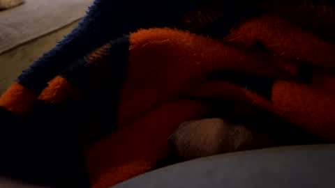 Snapshot of lc6173 chatting on December 27, 1:43 am lc6173 online show from December 27, 1:43 am