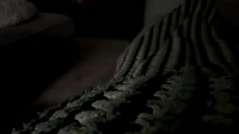 Snapshot of lc6173 chatting on December 15, 8:13 pm lc6173 online show from December 15, 8:13 pm