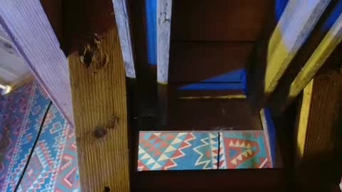 Dliciousman online show from December 19, 8:55 pm