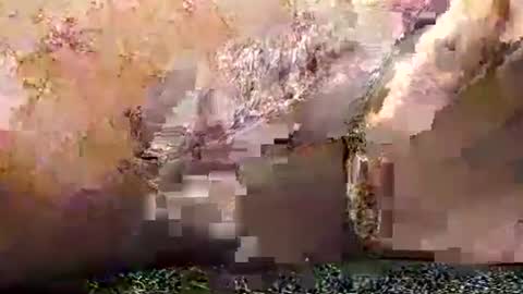 legofactory online show from January 27, 4:52 am