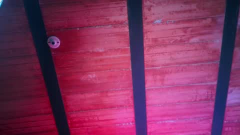 Lenardo jaramillo online show from December 13, 1:01 pm