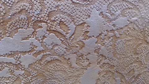 Snapshot of leoroman chatting on February 6, 6:24 pm leoroman online show from February 6, 6:24 pm