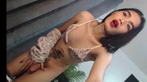 Trisha18 online show from March 1, 5:42 am