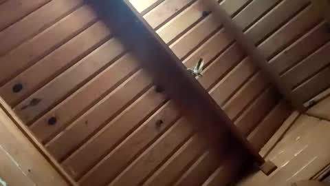 leskator9 online show from November 2, 5:10 am