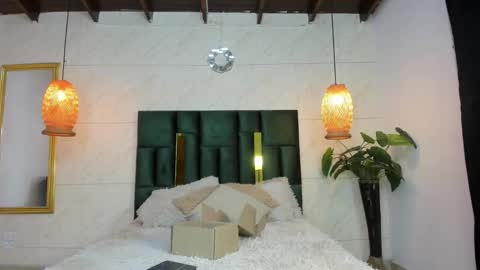 Snapshot of levy_steve chatting on November 5, 3:17 am LevySteven online show from November 5, 3:17 am