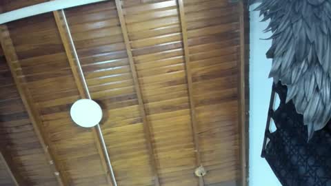 Snapshot of levy_steve chatting on November 16, 10:59 pm LevySteven online show from November 16, 10:59 pm