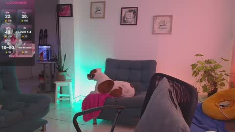 Lexie Thompson   8pm  0000am -5 online show from December 16, 11:33 am