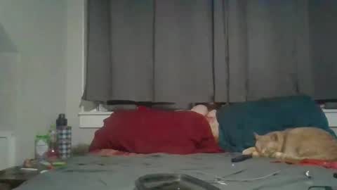 lexijackman online show from December 1, 5:12 am