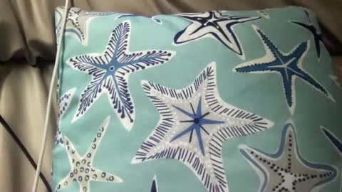 likefhot online show from November 17, 5:02 am