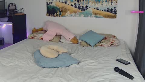 Snapshot of lil_nessa chatting on January 30, 7:07 am Nessa Greyrat if u like me tip 25 tk and put online show from January 30, 7:07 am