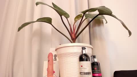 Lila online show from January 15, 10:46 pm