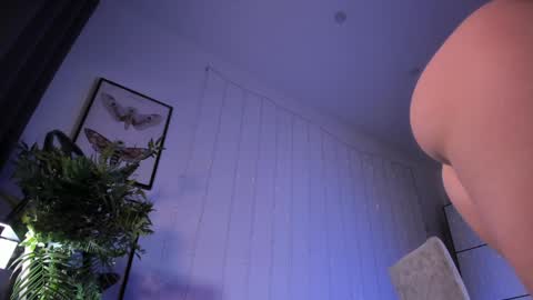 LIL online show from February 6, 12:16 pm