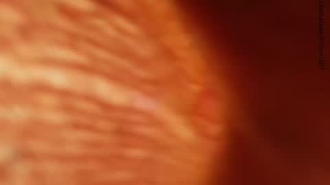 Snapshot of lilicum301 chatting on November 24, 1:27 am your love online show from November 24, 1:27 am