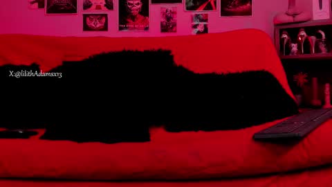 Snapshot of lilith_deveraux_ chatting on October 22, 2:06 pm MISTRESS LILITH online show from October 22, 2:06 pm