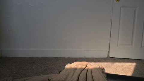 L online show from March 4, 4:30 pm