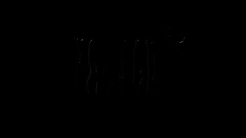 Snapshot of lilpresident chatting on January 23, 7:51 pm lilpresident online show from January 23, 7:51 pm