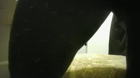 Snapshot of lily_lovelyman_ chatting on December 19, 9:17 pm lily lovelyman online show from December 19, 9:17 pm