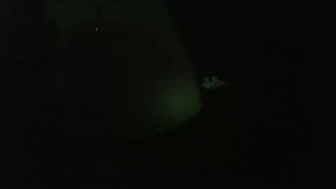 Snapshot of lily_lovelyman_ chatting on December 26, 4:53 am lily lovelyman online show from December 26, 4:53 am