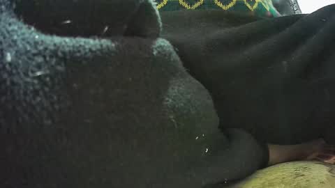 Snapshot of lily_lovelyman_ chatting on February 23, 7:11 am lily lovelyman online show from February 23, 7:11 am