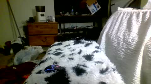 Snapshot of lincolnlongdick chatting on December 30, 5:13 pm Richie Rich online show from December 30, 5:13 pm