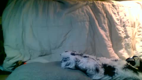 Snapshot of lincolnlongdick chatting on January 13, 2:39 am Richie Rich online show from January 13, 2:39 am