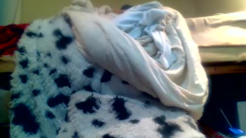 Snapshot of lincolnlongdick chatting on January 15, 10:35 pm Richie Rich online show from January 15, 10:35 pm