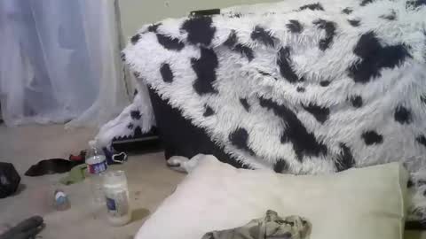 Snapshot of lincolnlongdick chatting on February 18, 12:28 pm Richie Rich online show from February 18, 12:28 pm