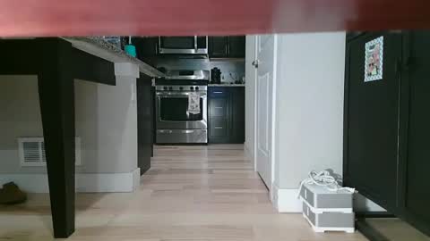 Snapshot of littleclitty247 chatting on September 11, 9:48 pm Littlleclitty247 online show from September 11, 9:48 pm