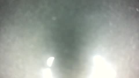 littlestick online show from December 3, 9:07 am