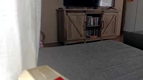 LjCherry online show from September 11, 5:02 pm