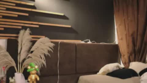 Snapshot of logan_varela chatting on February 1, 5:49 am logan_varela online show from February 1, 5:49 am