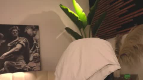 Snapshot of logan_varela chatting on February 5, 4:16 am logan_varela online show from February 5, 4:16 am