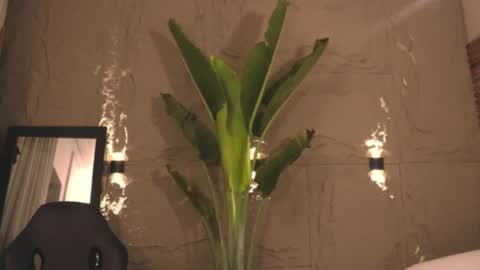 Snapshot of logan_varela chatting on March 1, 9:18 am logan_varela online show from March 1, 9:18 am