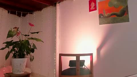 mara online show from January 31, 2:04 am