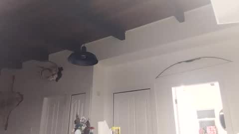 Lola Lixx online show from November 18, 2:10 pm