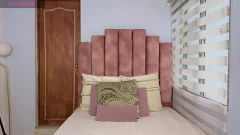 Snapshot of lou_rosse chatting on December 23, 8:57 pm Lou Rosse online show from December 23, 8:57 pm