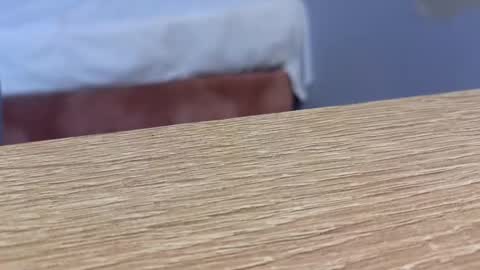 Snapshot of lou_rosse chatting on January 22, 8:49 pm Lou Rosse online show from January 22, 8:49 pm