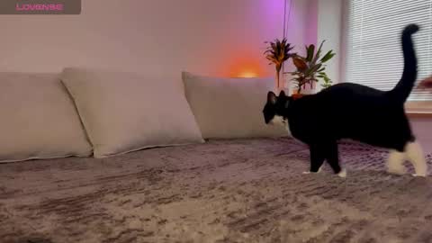 Snapshot of lovelorn_ chatting on October 23, 6:34 am Elsa online show from October 23, 6:34 am