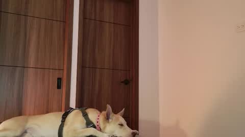 Snapshot of luci_fer15 chatting on September 9, 1:49 am Luci y Fer online show from September 9, 1:49 am