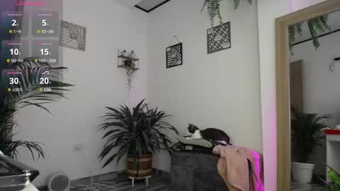 luciiana online show from February 25, 3:05 pm