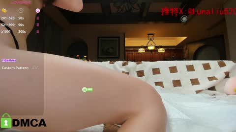 Snapshot of luna_liu520 chatting on December 28, 2:42 pm luna online show from December 28, 2:42 pm