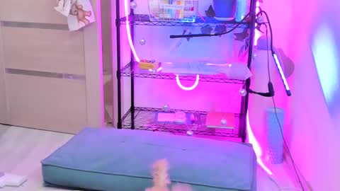 Snapshot of lunatale chatting on February 14, 2:18 am Kate online show from February 14, 2:18 am