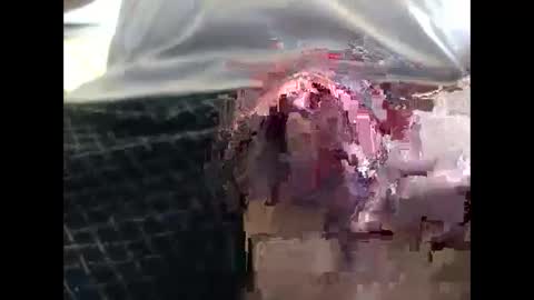 Snapshot of lutorres chatting on September 19, 11:55 am lutorres online show from September 19, 11:55 am