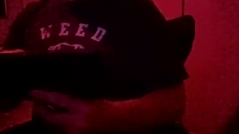 Luv2tokNstrok online show from November 3, 10:49 am