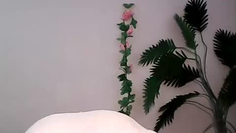 Bee Bee online show from September 9, 1:38 am