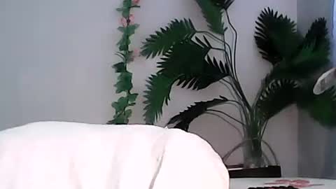 Bee Bee online show from September 13, 5:40 am