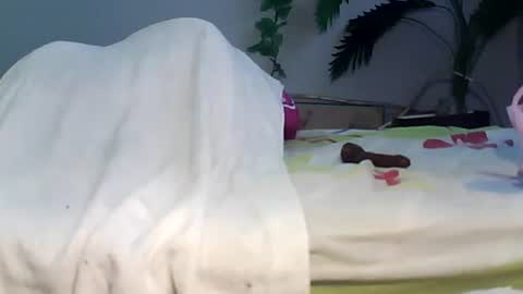 Bee Bee online show from September 22, 3:41 am