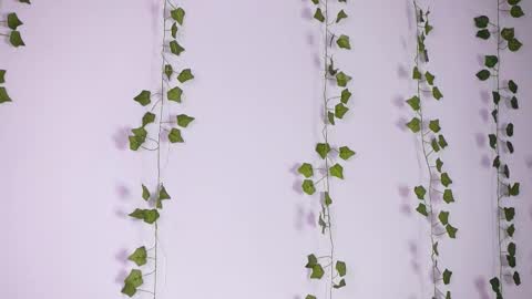 Lyly   online show from September 27, 8:19 am